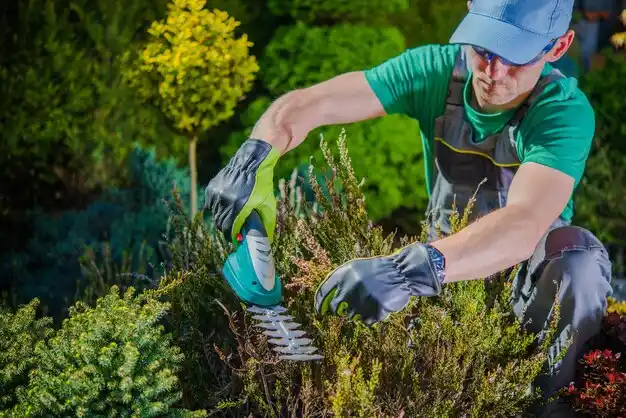 landscaping services Marquette